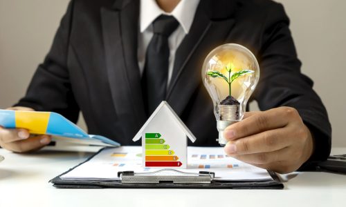 Clean & Efficient Power: Harmonic Mitigation for a Sustainable Energy Future